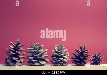 Five pine cones on a white wooden board with red background, seasonal or Christmas background with space for text Stock Photo