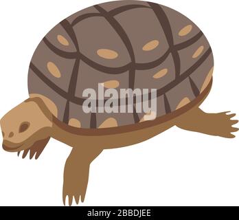 Zoo old turtle icon, isometric style Stock Vector