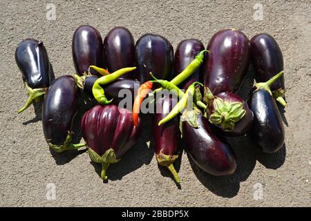 Fresh eggplants and peppers lies on the concrete background Stock Photo