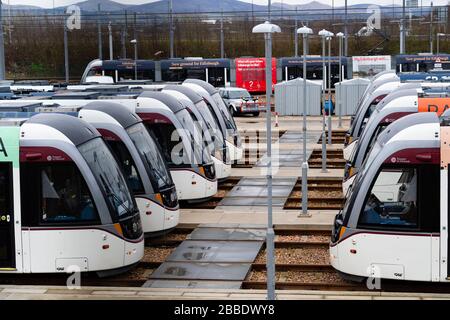 Edinburgh, Scotland, UK. 31 March, 2020. Trams lie idle in depot at Gogar in Edinburgh. Edinburgh Trams are running a reduced service during the coronavirus / Covid-19 pandemic and public lockdown. Credit: Iain Masterton/Alamy Live News Stock Photo