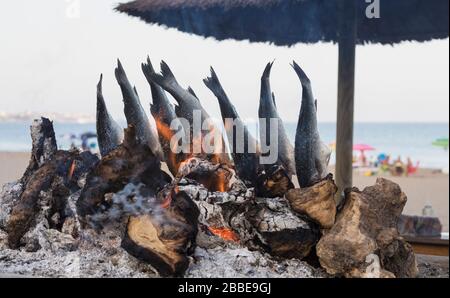 La Cala de Mijas, Costa del Sol, Malaga Province, Andalusia, southern Spain.  Fish roasting over open fire outside beachside restaurant, known as a ch Stock Photo