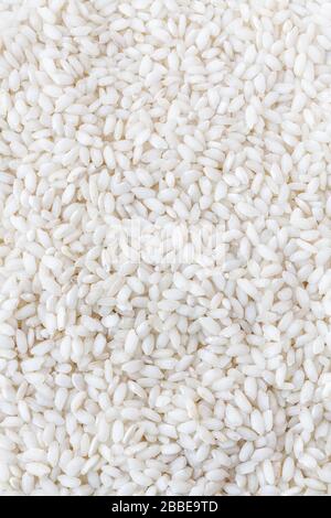 Close up of uncooked risotto rice Stock Photo
