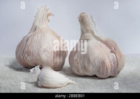 Garlic heads and a clove of garlic on a napkin closeup. Food background Stock Photo