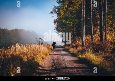 Runner train on the road in beautiful autumn nature Stock Photo