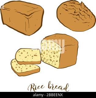 Colored sketches of Baguette bread. Vector drawing of Yeast bread food ...