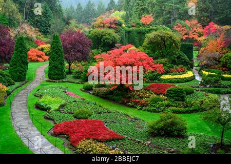 Sunken Gardens Fall Colours, Butchart Gardens, Victoria, Vancouver Island, BC, Canada Stock Photo