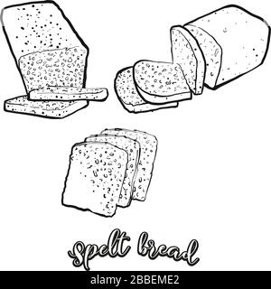Collection of bread cartoon vector illustration eps 10 Stock Vector ...