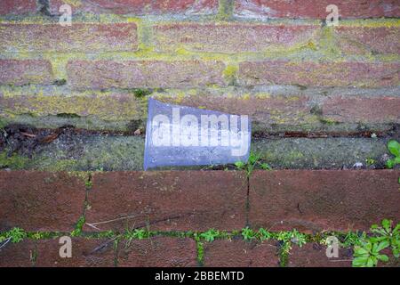 Empty plastic cup with raindrops thrown on the street. Plastic waste, litter and environmental pollution. Stock Photo
