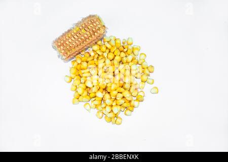 Corn seeds peeled from a ear of corn which is placed beside the stack of corn seeds before a white background Stock Photo