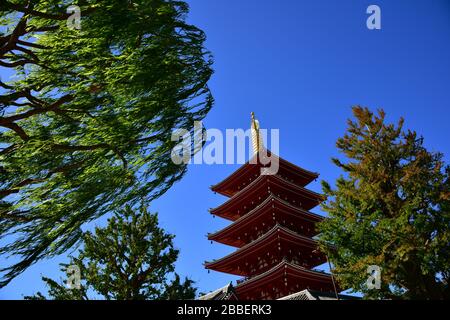 Low angle view between green leafy trees of the pagoda next to the Sensoji Temple in Tokyo Japan Stock Photo