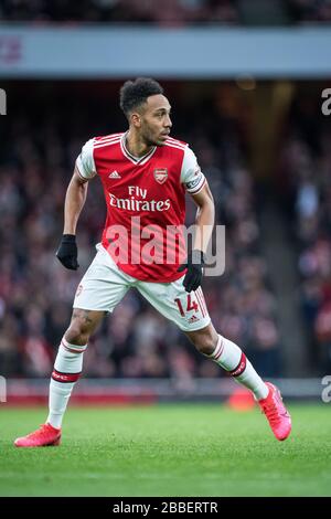 LONDON, ENGLAND - FEBRUARY 23: Pierre-Emerick Aubameyang of Arsenal FC in action during the Premier League match between Arsenal FC and Everton FC at Stock Photo