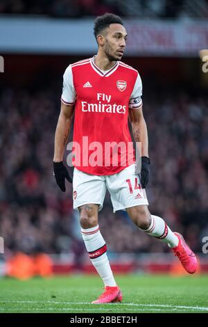 LONDON, ENGLAND - FEBRUARY 23: Pierre-Emerick Aubameyang of Arsenal FC in action during the Premier League match between Arsenal FC and Everton FC at Stock Photo