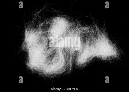 cobweb or spider web dust on wall background Stock Photo - Alamy