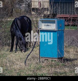 Old disused Eastern european blue petrol pump in farmers field with a grazing horse Bulgaria Stock Photo