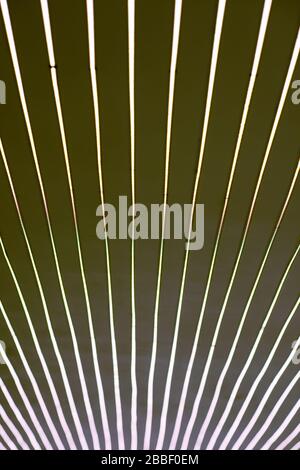 Diode strip.close up of led lights tape set on the ceiling  at new luxury apartment Stock Photo