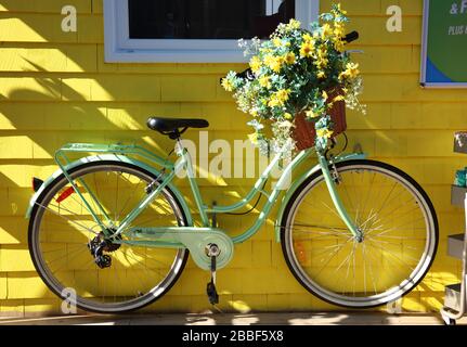 yellow bike with basket
