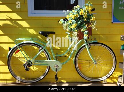 pale yellow bike