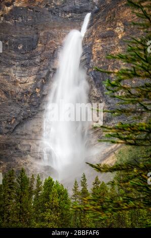 Takakkaw Falls In Yoho National Park In The Rocky Mountains. Plunging 