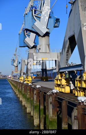 Rotterdam, The Netherlands-March 2020: Low angle view of a quay lined with wooden mooring poles in the port of Rotterdam with a row of cranes along th Stock Photo