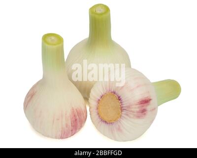 Fresh young garlic isolated on white background Stock Photo