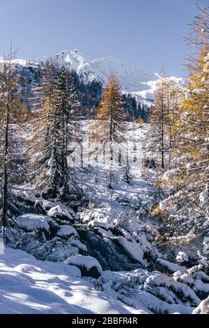 The mountains of Tartano Valley, near the town of Morbegno, Italy, during a beautiful winter day Stock Photo