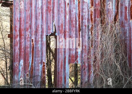a old metal red warehouse building broken and overgrown Stock Photo