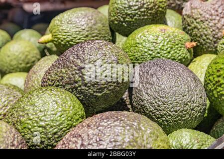 Close up of a large pile of ripe canarian avocado pears for sale at Tenerife farmers market. Selective focus. Stock Photo