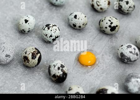 Many quail eggs on gray concrete cement background. One egg broken, orange yolk and protein. Easter cooking concept. Stock Photo