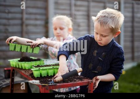 Two Primary school aged children plant seeds in green plastic seed trays Stock Photo