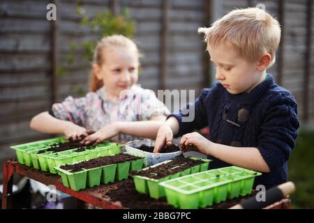 Two Primary school aged children plant seeds in green plastic seed trays Stock Photo