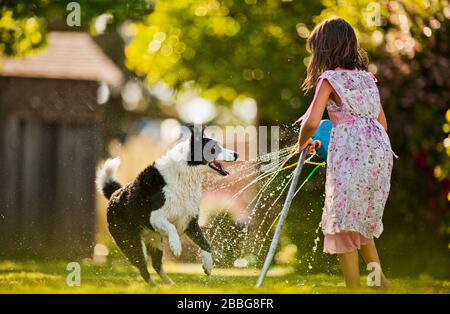 Young girl and her dog playing with a sprinkler in a backyard Stock Photo