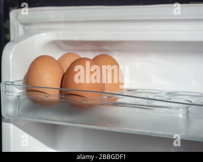 Four fresh chicken eggs on shelf of white refrigerator. Stock Photo