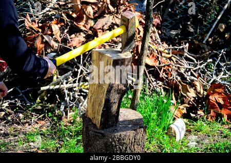 The Lumberjack Is Cutting Wood Or Firewood With Axe Outdoors. Stock Photo,  Picture and Royalty Free Image. Image 97231743.