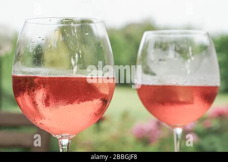 Wine glasses at garden in summer Stock Photo