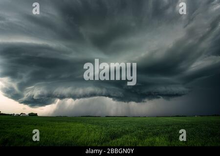 Storm forming shelf cloud over field in southern Manitoba Canada Stock Photo