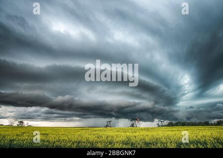 Storm with mesocyclone over a canola field with oil pumps in southern Saskatchewan Canada Stock Photo