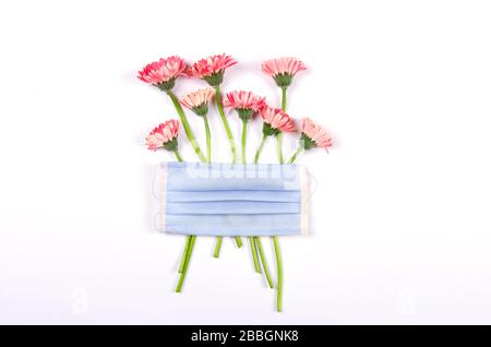 Quarantine concept. Face medical mask on pink herbera flowers. flat lay Stock Photo