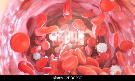 Red blood cells inside an artery, vein. Flow of blood inside a living organism. Scientific and medical concept. Transfer of important elements in the Stock Photo