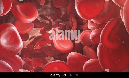 3d illustration of red blood cells inside an artery, vein. The flow of blood inside a living organism. Scientific and medical microbiological concept Stock Photo