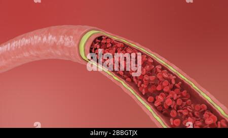 Cross section artery view. Red blood cells inside an artery, vein. Healthy blood flow. Scientific and medical concept. Transfer of important elements Stock Photo