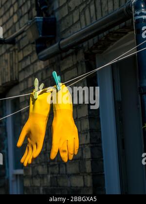 A pair of yellow marigold protective rubber gloves pegged on a clothes line Stock Photo