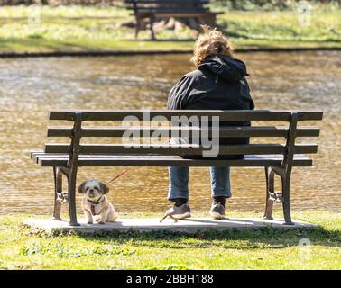 Berks County, Pennsylvania, USA-March 22, 2020: Senior woman sits on park bench next to pond with dog under the bench. Stock Photo