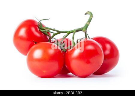 five tomatoes on a branch isolated on white background Stock Photo