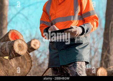 Forestry technician using digital tablet computer in forest for logging data collecting during deforestation Stock Photo