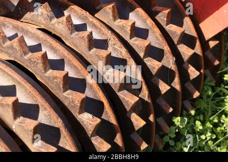 Part and detail of agricultural disk harrow Stock Photo