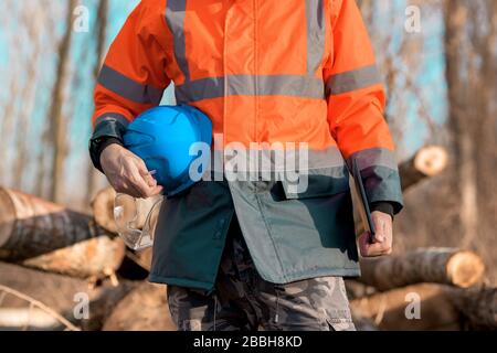 Forestry technician using digital tablet computer in forest for logging data collecting during deforestation Stock Photo