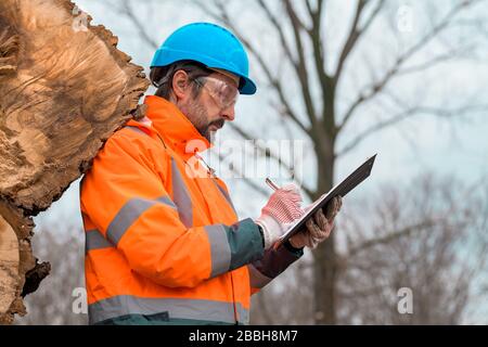 Forestry technician writing notes on clipboard notepad paper in forest during logging deforestation process Stock Photo