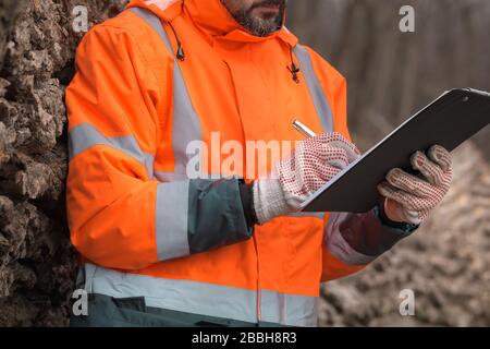 Forestry technician writing notes on clipboard notepad paper in forest during logging deforestation process Stock Photo