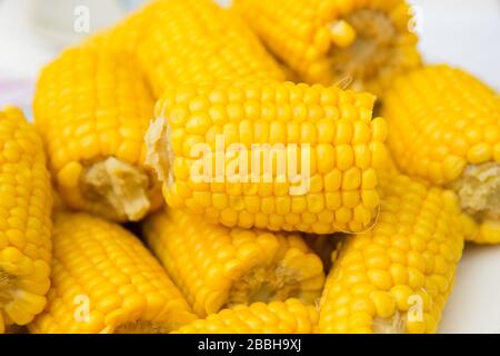 Pieces of boiled corn on a white plate. Stock Photo