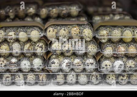 Quail eggs in a plastic box packing on a shelf in a supermarket store. Stock Photo